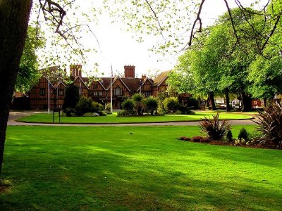 Lawn and Landscaping Tips From Layton's Lawn Care in Delaware